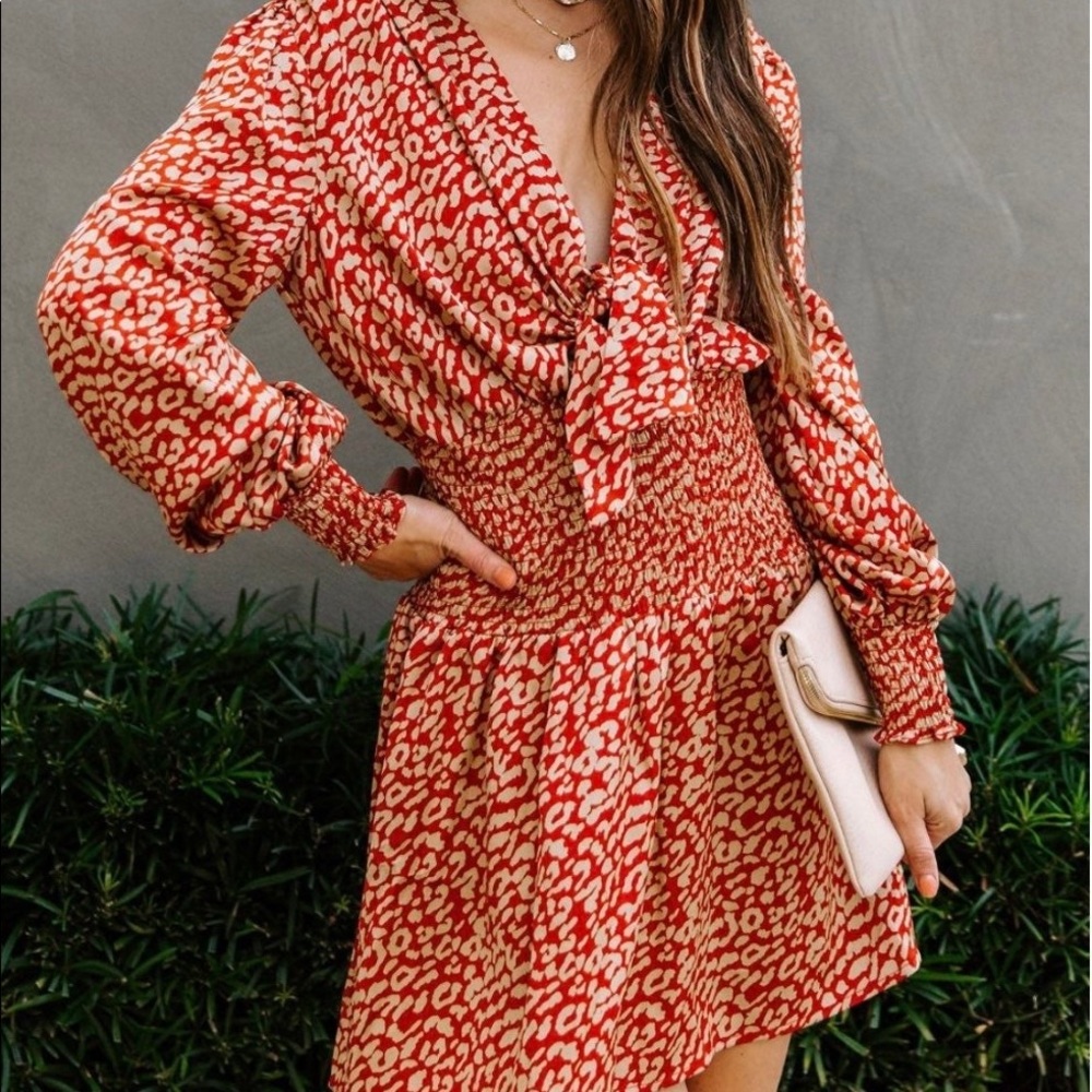 Red Cheetah Print Dress with Front Tie